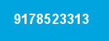 9178523313