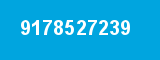 9178527239