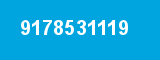 9178531119