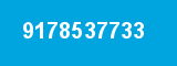 9178537733