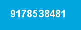 9178538481