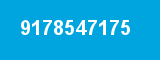 9178547175
