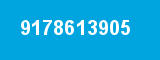 9178613905