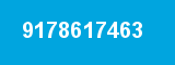 9178617463