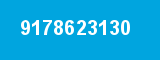 9178623130