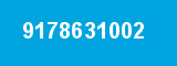 9178631002