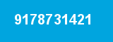 9178731421