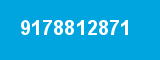 9178812871