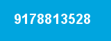 9178813528