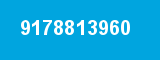 9178813960