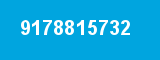 9178815732