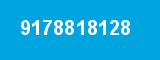 9178818128