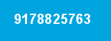 9178825763