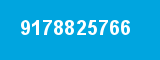 9178825766