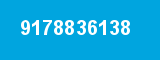9178836138