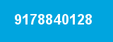 9178840128