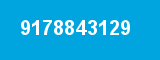 9178843129