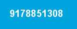 9178851308