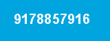 9178857916