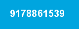 9178861539