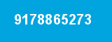 9178865273
