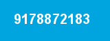 9178872183