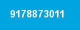 9178873011