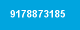 9178873185