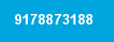 9178873188
