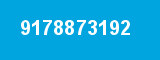 9178873192