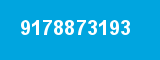 9178873193