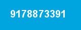 9178873391