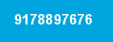 9178897676