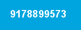 9178899573