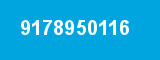 9178950116