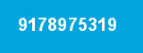 9178975319