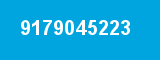 9179045223