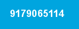 9179065114