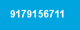 9179156711