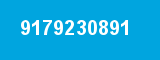 9179230891