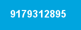 9179312895