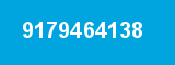9179464138