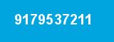 9179537211