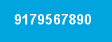 9179567890 9179567890