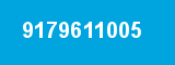 9179611005 9179611005