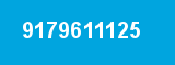 9179611125