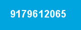 9179612065