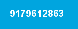 9179612863