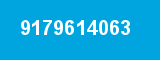 9179614063