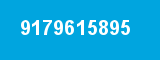 9179615895